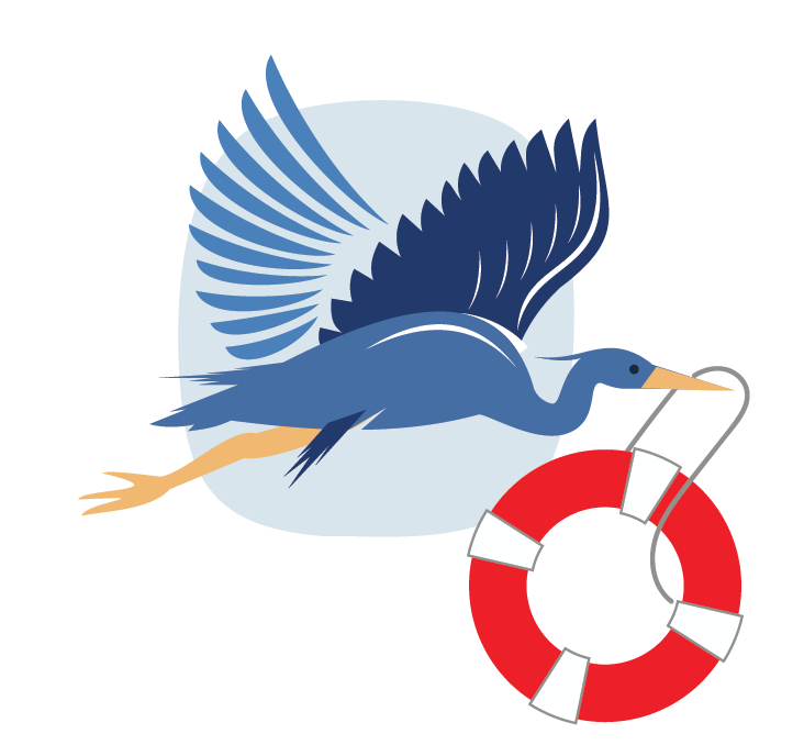 water safety_webgraphics_guardian.png